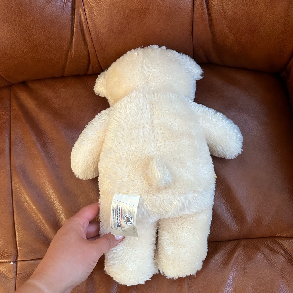 Build-a-Bear Teddy Bear - Picture 3 of 6